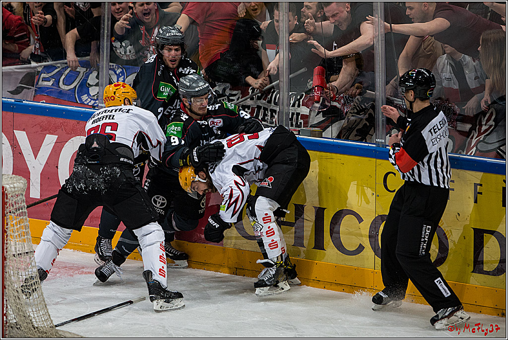 DEL, Koelner Haie - Fishtown Pinguins Bremerhaven, 29.01.2017